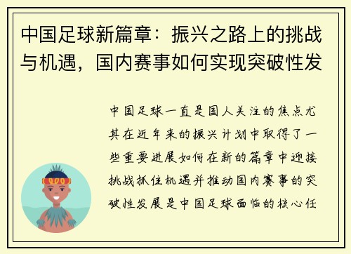 中国足球新篇章：振兴之路上的挑战与机遇，国内赛事如何实现突破性发展