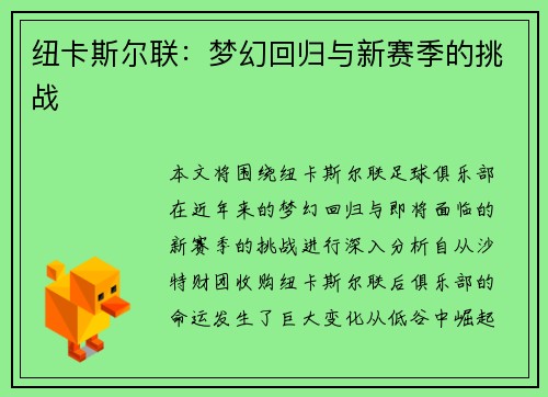 纽卡斯尔联：梦幻回归与新赛季的挑战